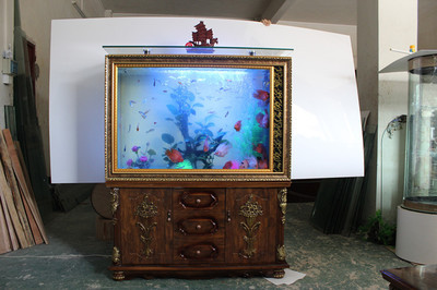生態(tài)魚(yú)缸 方寸之間，構(gòu)筑流動(dòng)的生命藝術(shù)